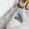 Dotted Fitness Ensemble